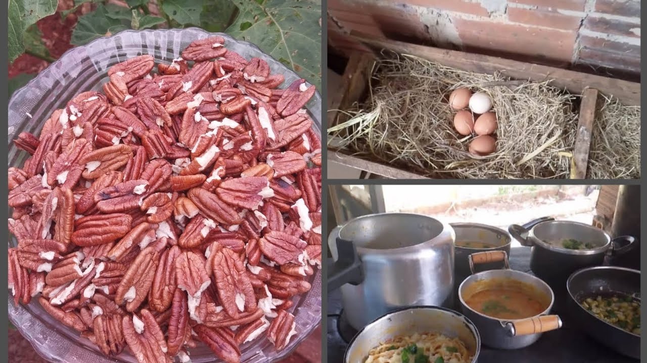 Almoço Caipira ☺️/Nozes Pecan🌰