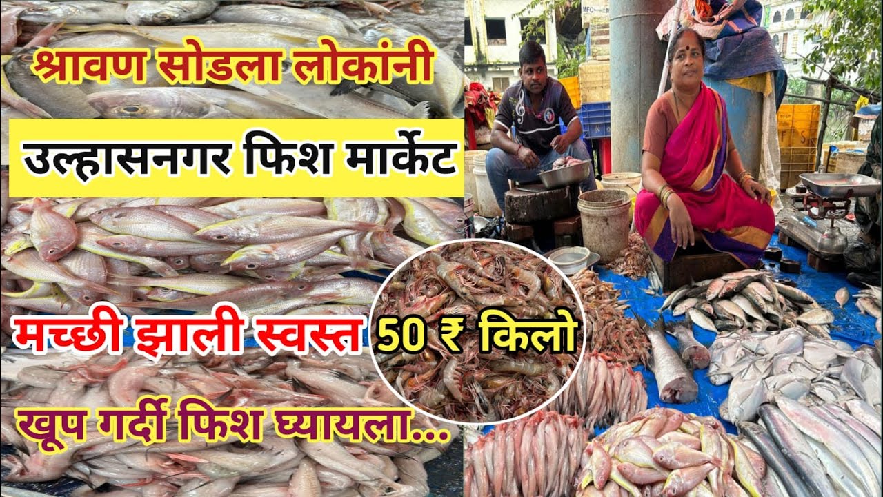 Ulhasnagar Fish Market | Ulhasnagar West Fish Market | Wholesale Fish Market In Mumbai 