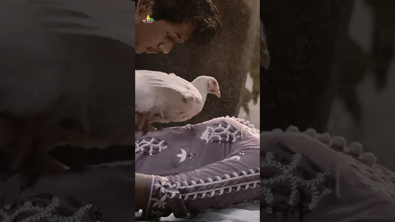 Amma Raagin Raj & Ankitha Naskar's Romantic Moment | #Vettu | #youtubeshorts #tamilshorts #shorts