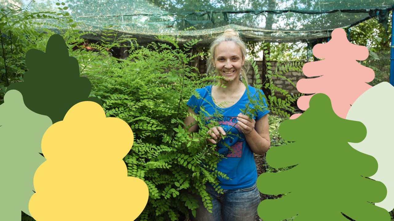 #PoveștiDinECOmunitate | Pomul Vieții, asociația care cultivă plante și speranță