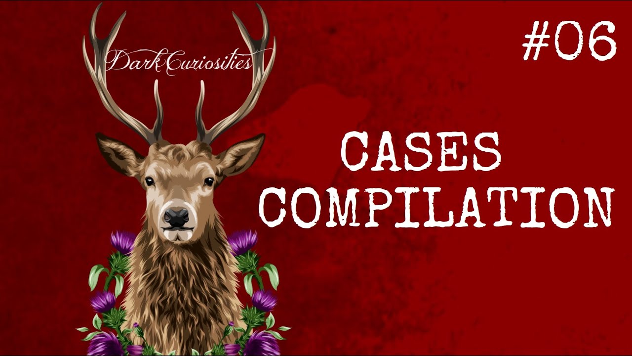 CASES COMPILATION #06