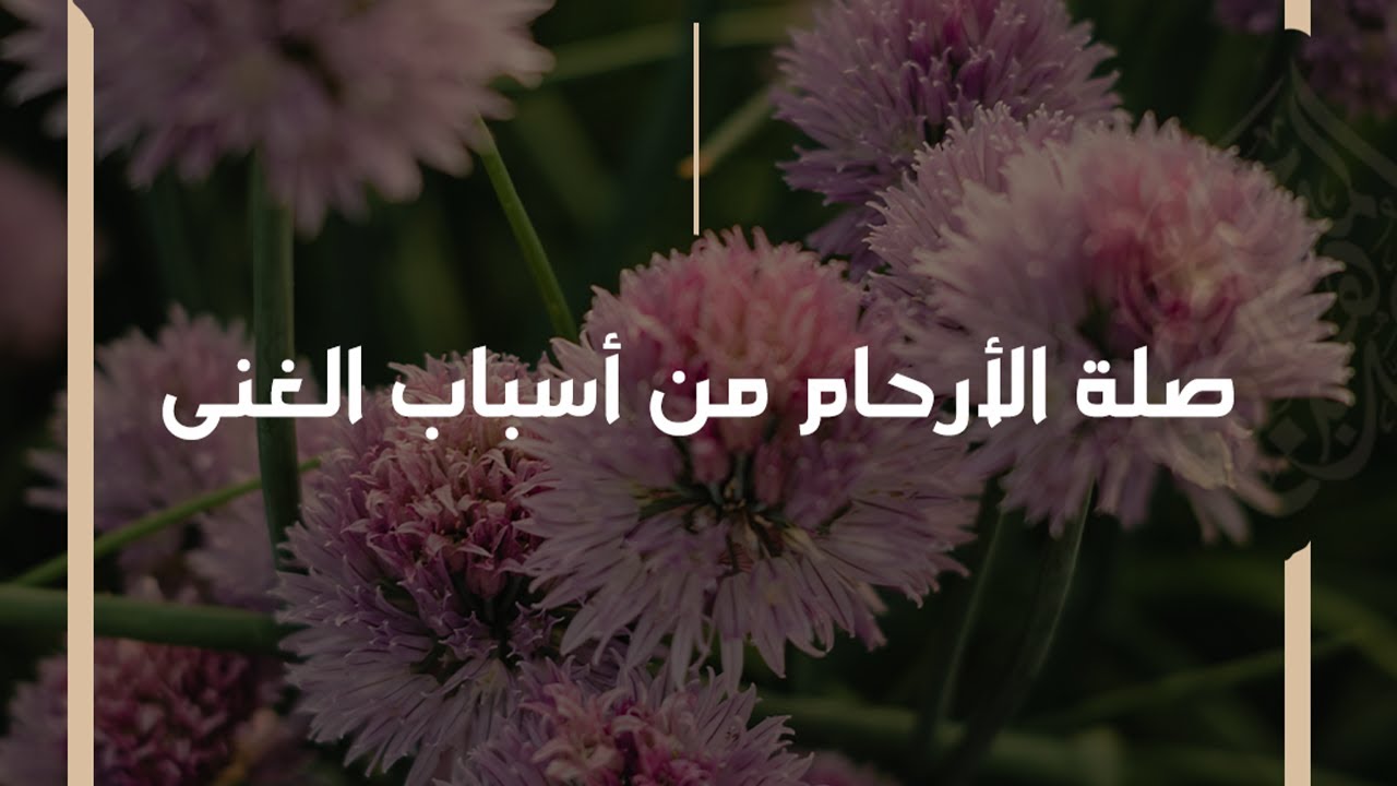 كما أن صلة الرحم سبب من أسباب بسط الرزق فهي سبب من أسباب الثراء - الشيخ د. محمد بن هادي المدخلي