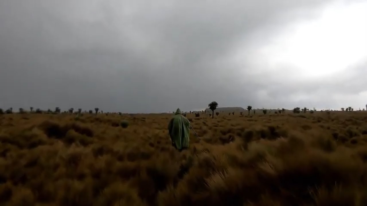 Table Mountain (Aberdares)