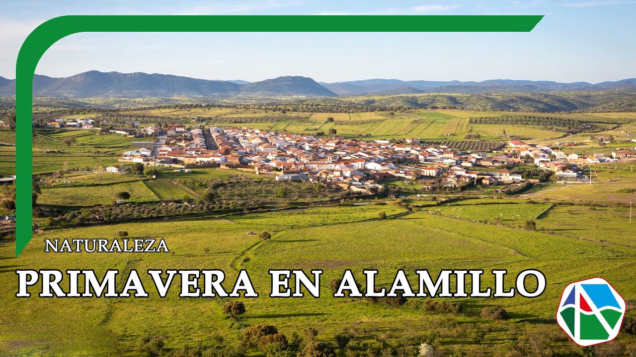 Primavera en Alamillo