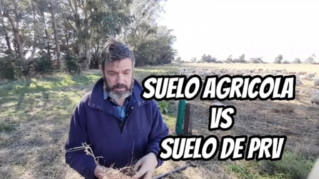 Suelo agrícola Vs suelo de PRV