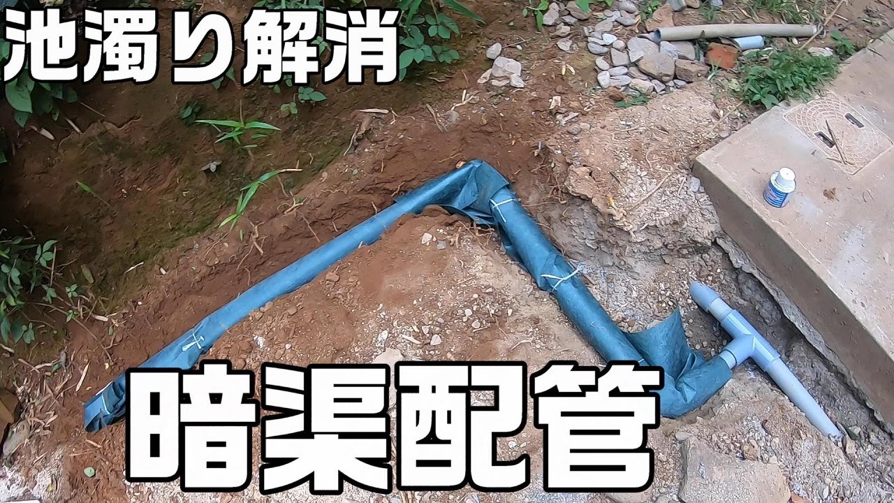 DIY暗渠配管と庭池の穴掘り前半戦完了、尾腐れ病の金魚治る