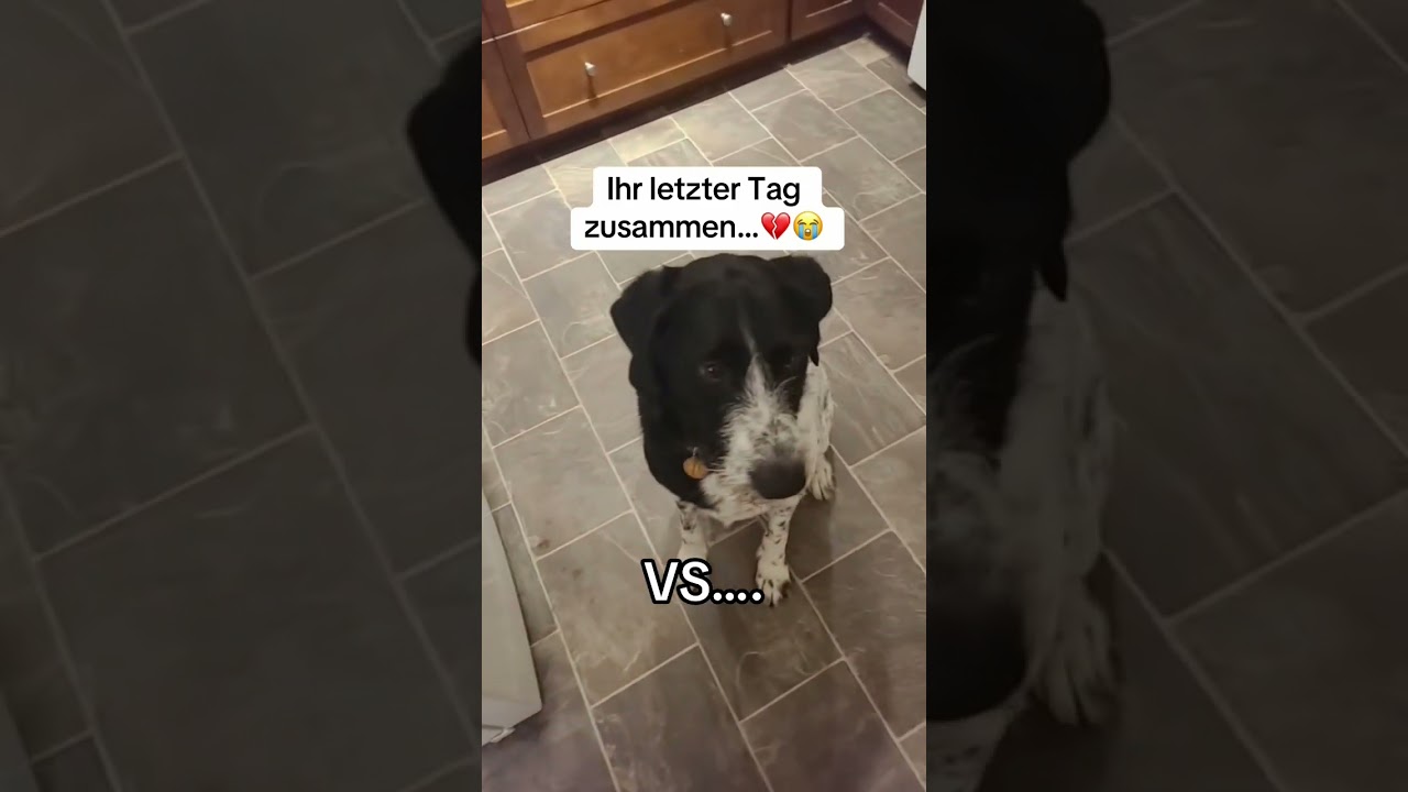 Das Ende wird dich zum Weinen bringen 😭😭