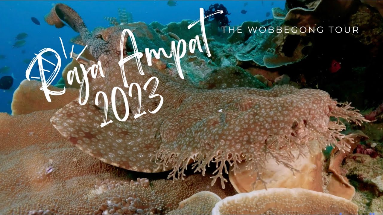 Raja Ampat 2023, filmed with GoPro