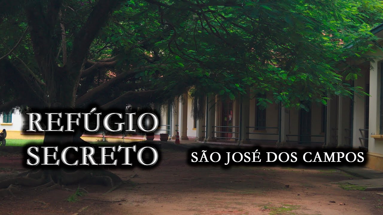 ✨ Entre Árvores, Histórias e Silêncios | Parque Vicentina Aranha