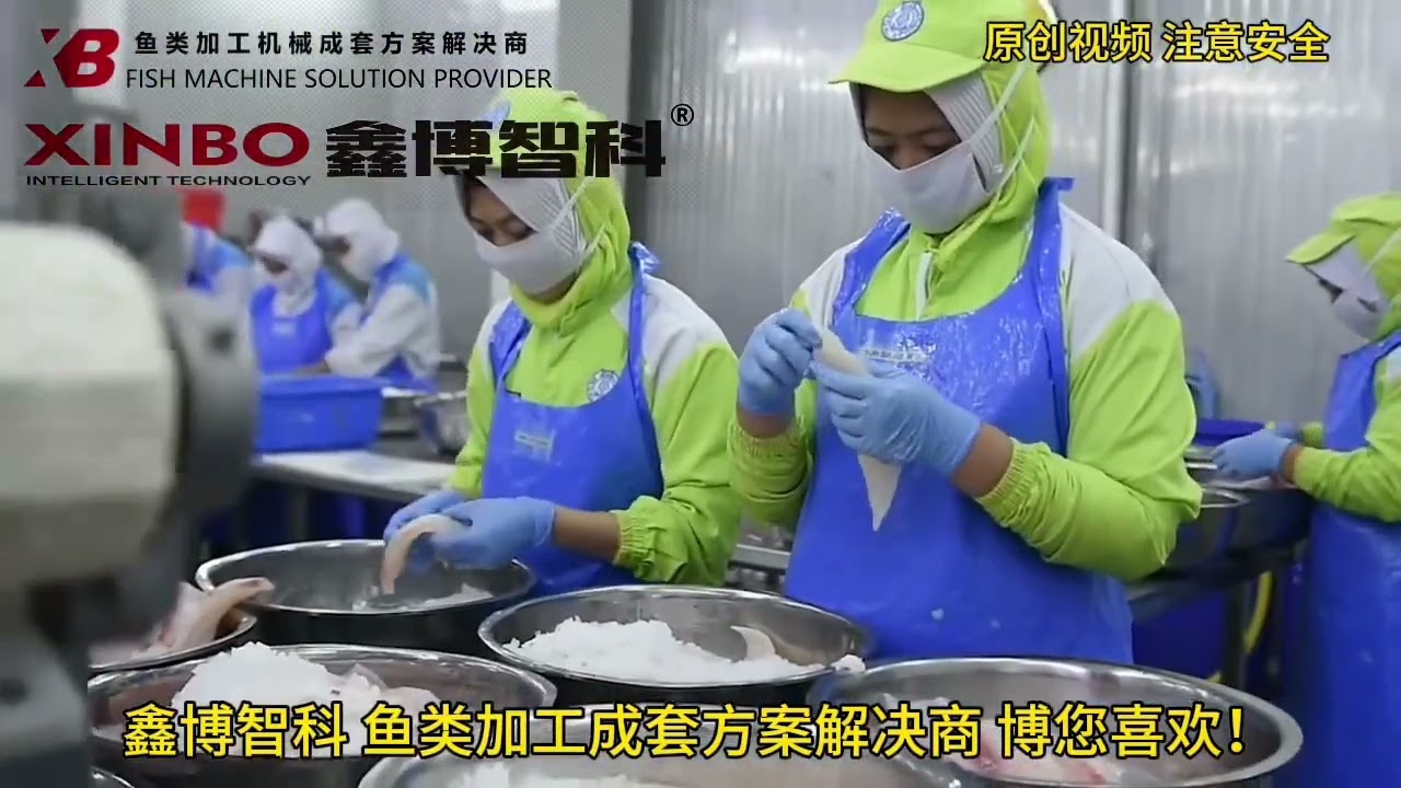 Tilapia Fillet Processing Line