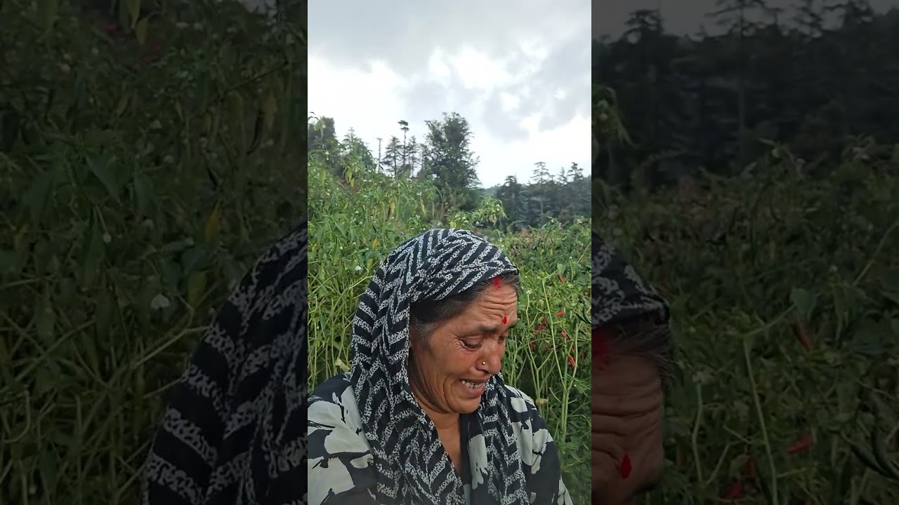 यादे छोड़कर  कर हमे अकेले छोड़कर गई 😭😭