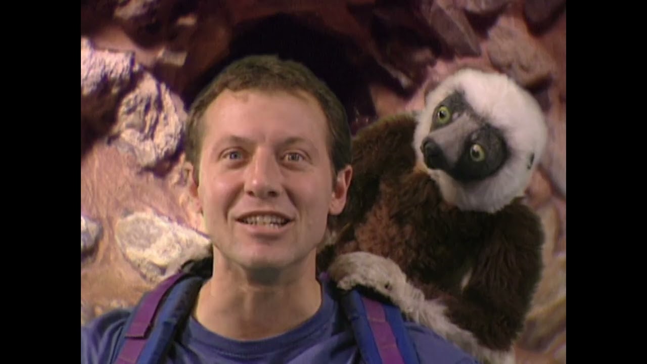 Zoboomafoo - Ant vs Anteater Survival! | WildBrain Play House