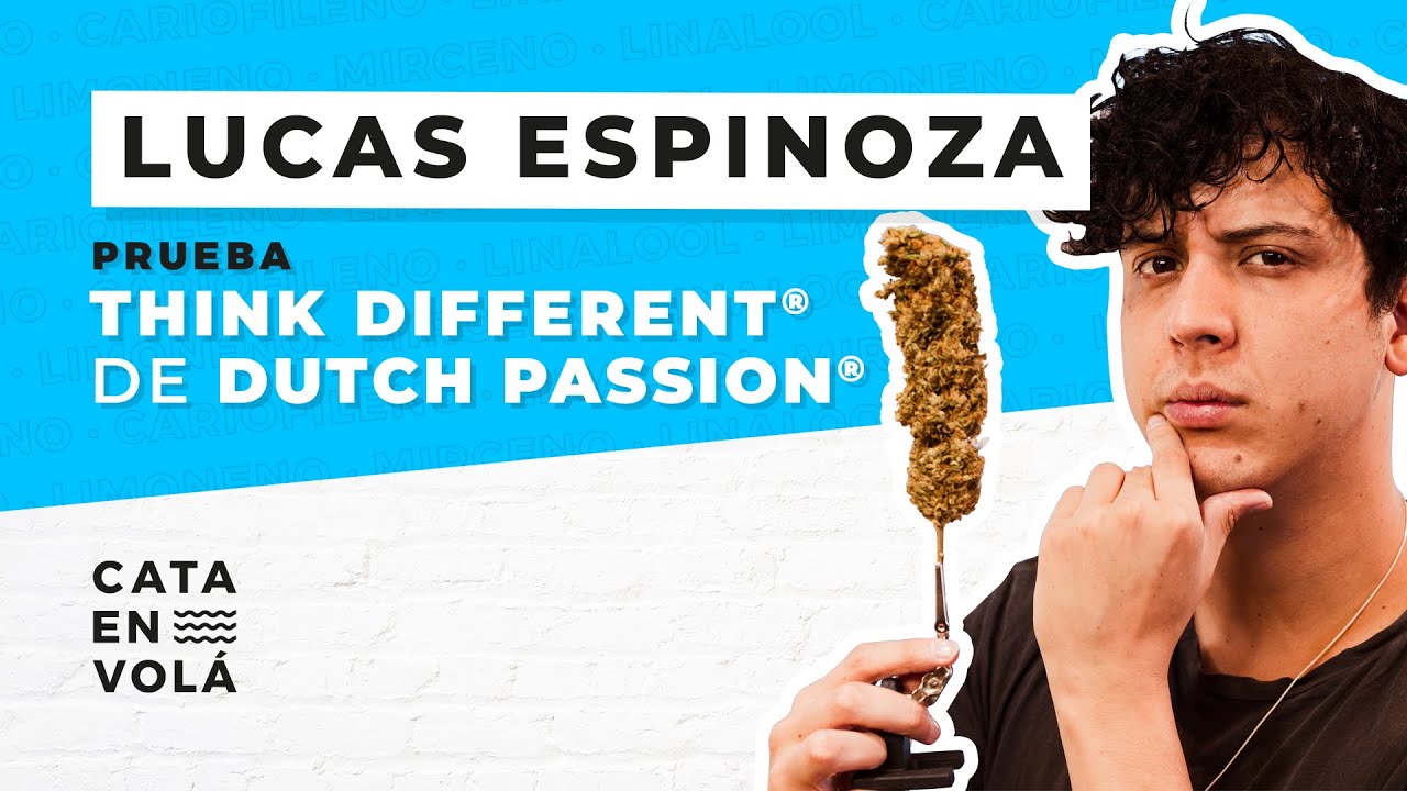 CATA EN VOL&Aacute;: LUCAS ESPINOZA | THINK DIFFERENT DE DUTCH PASSION