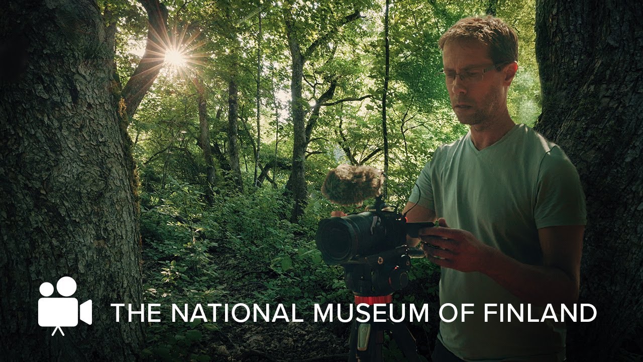 Filming Ancient Forests: A Journey Through Time