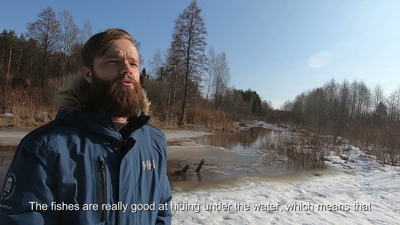 Eye on the Experts - Hydroacoustics and autonomous vessels