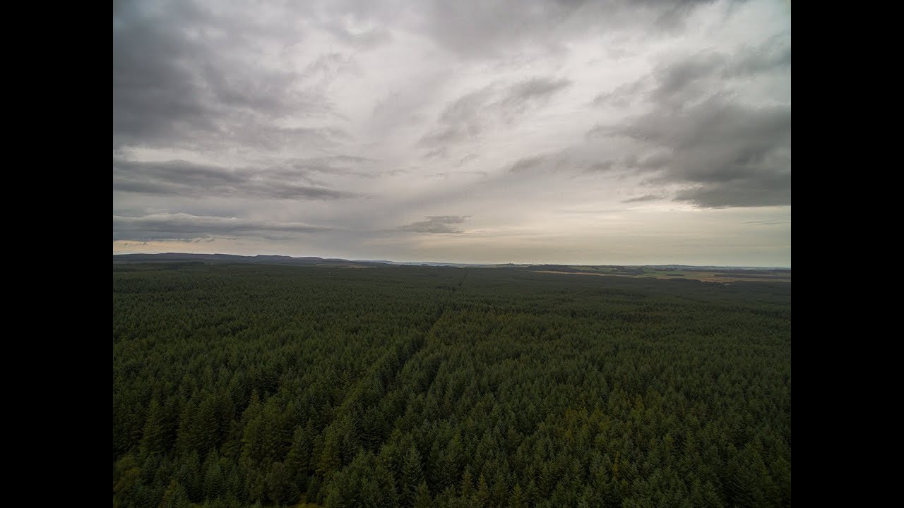 Harwood Forest Phantom 3 Professional Drone Flight