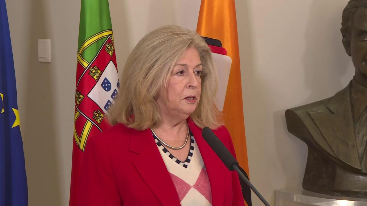 Leonor Beleza, Vice-Presidente do PSD, em declarações à imprensa