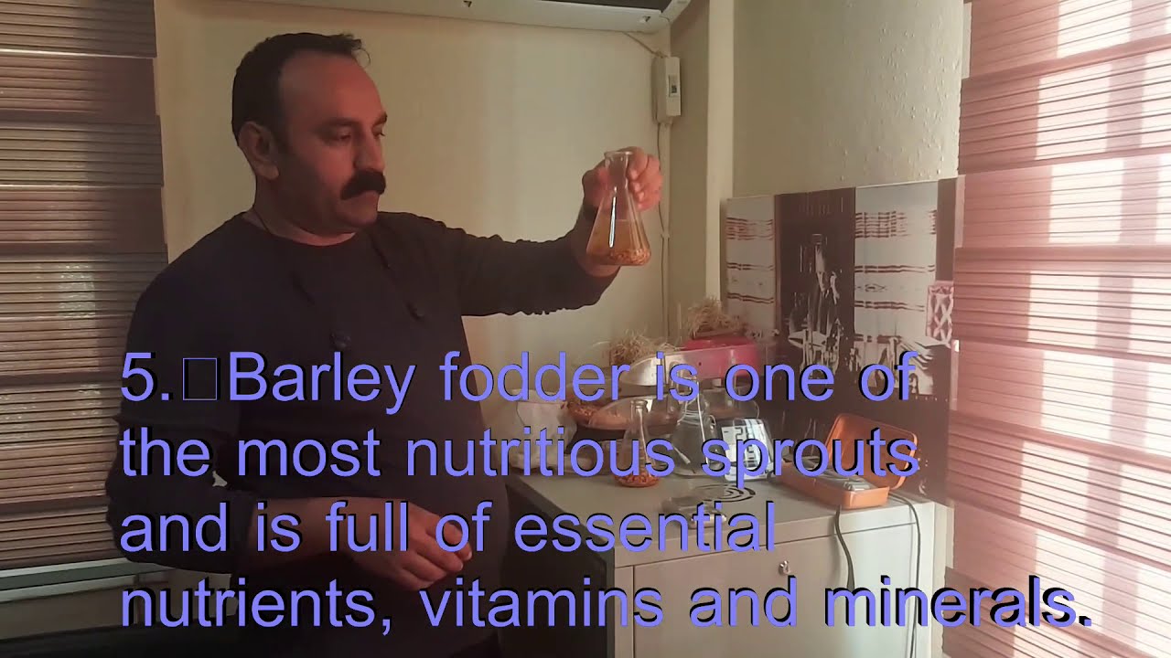 ARPA HASILI BENİ MAHVETTİ çok uğraştım. Fiziksel Hasıl Analizi