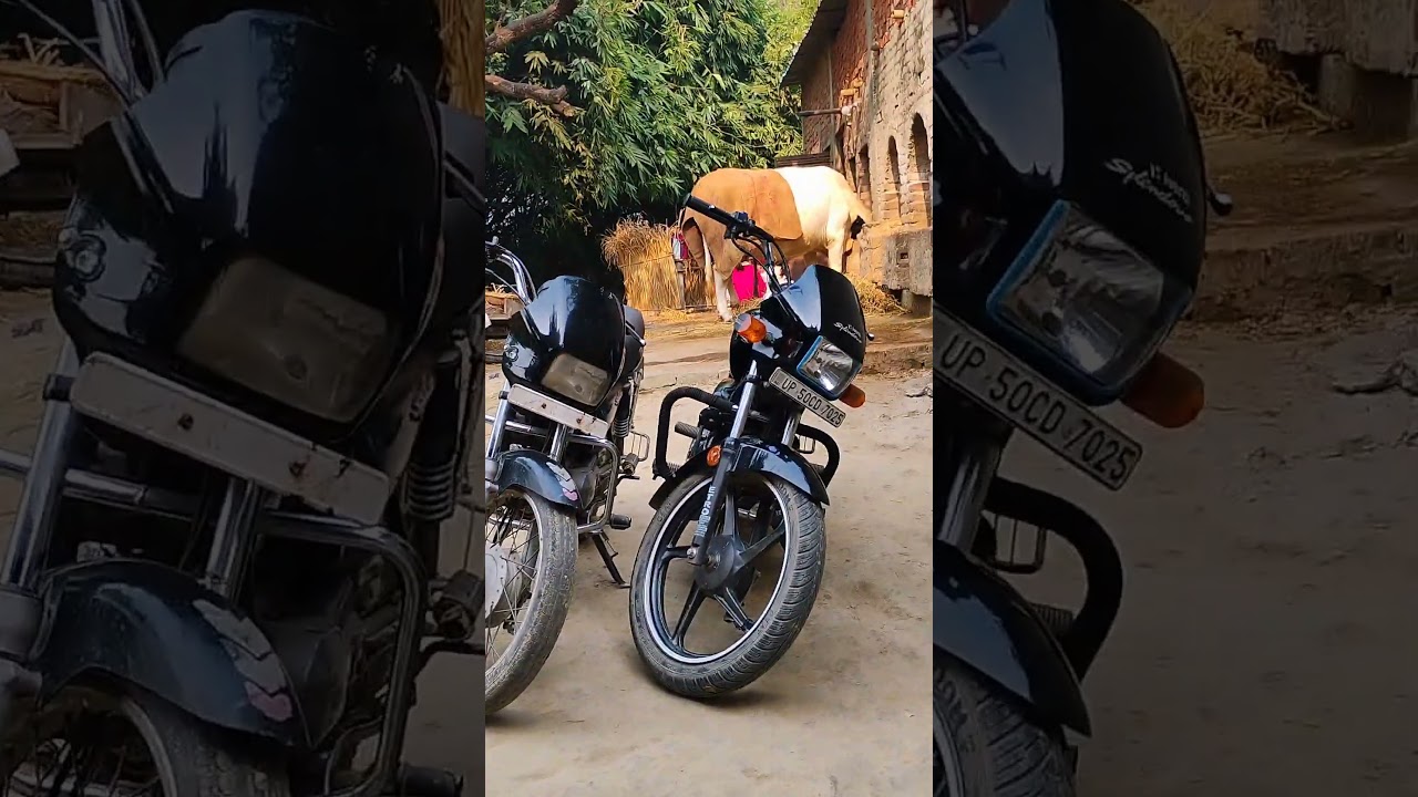 Splendor modified bikell lover 