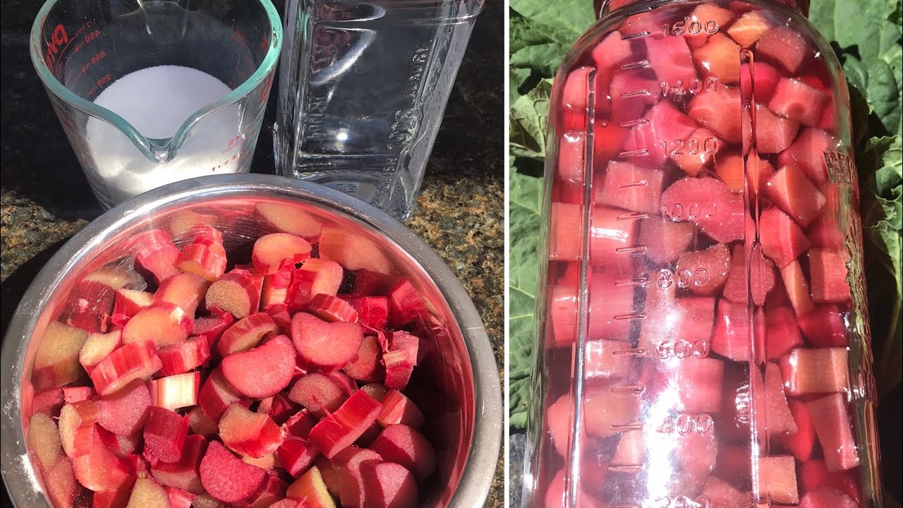 Rhubarb Liqueur Recipe