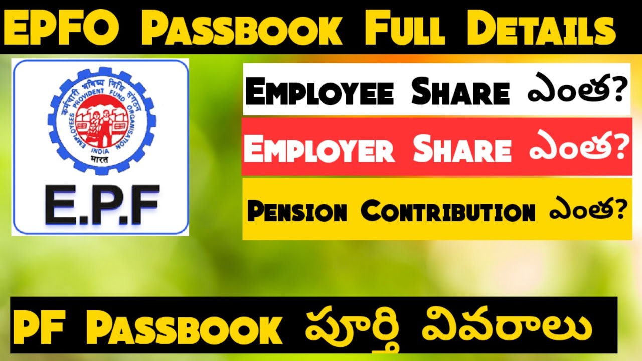 EPFO Passbook Full Details | How To Check PF Balance