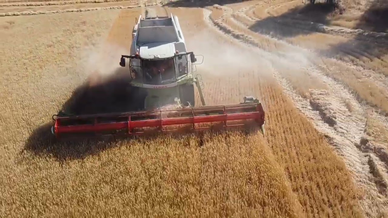 claas lexion 740 cosecha 22