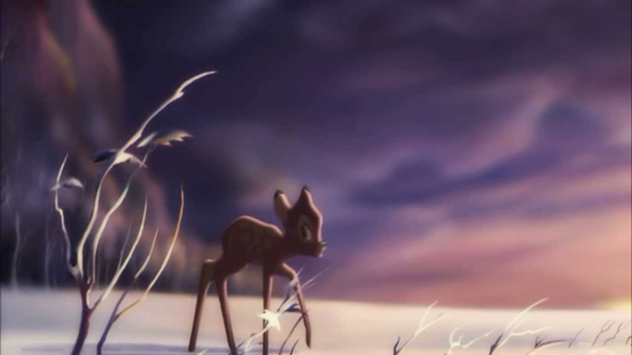 Animash - Without you