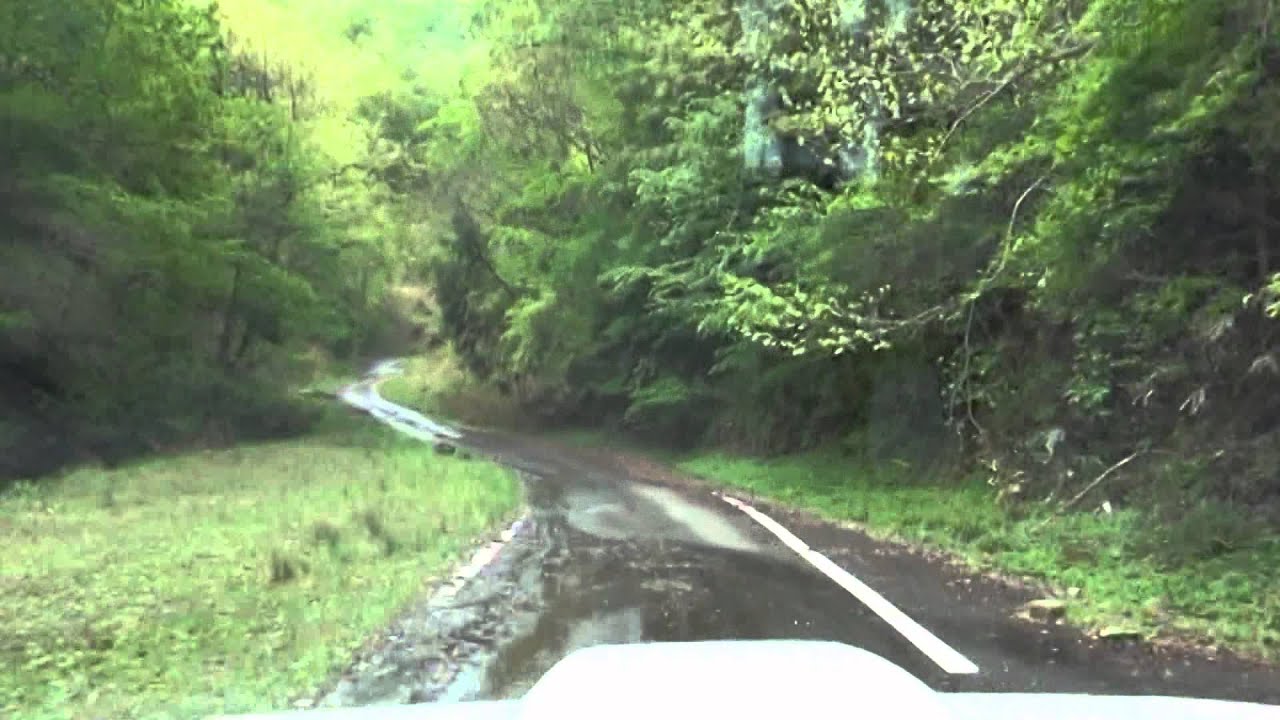 【田ノ口栃本林道】　兵庫県豊岡市日高町（2012.05.03）
