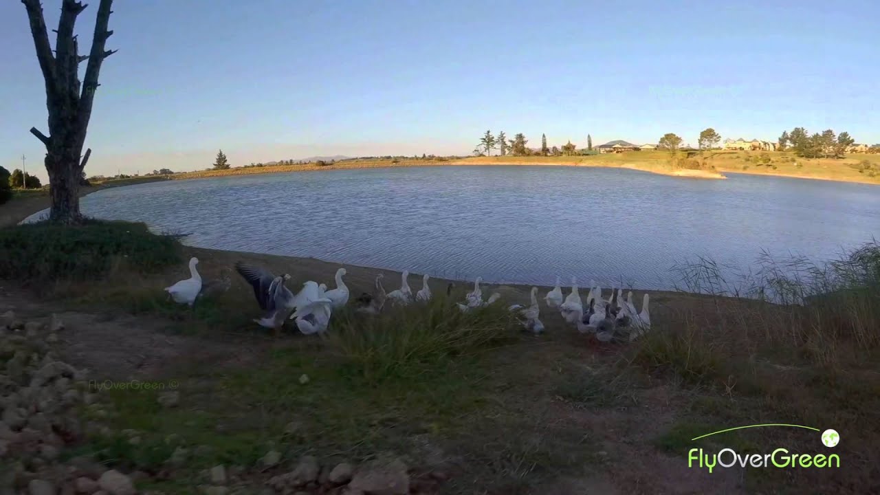 Devonvale Golf And Wine Estate - drone aerial video - Overview (long)