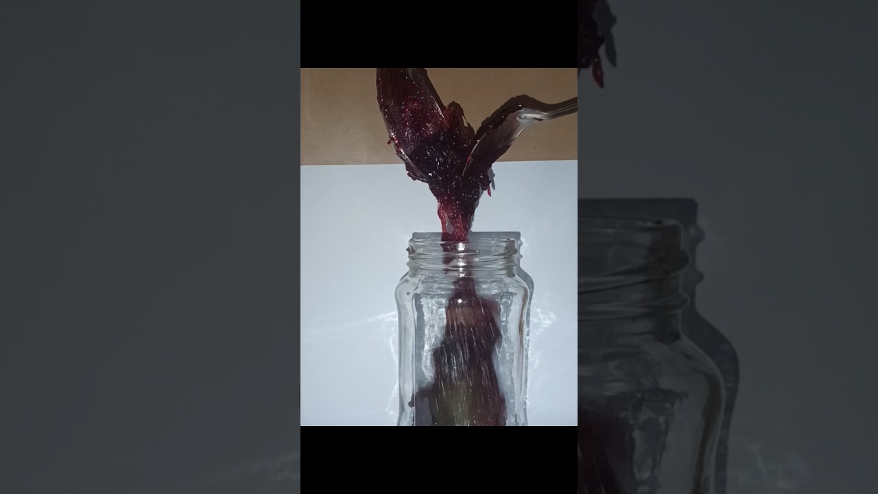 Homemade Plum Jam Recipe | Using 2 Ingredients 