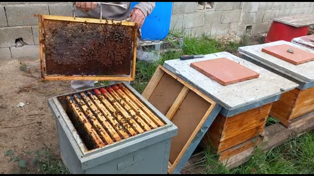 Bloquear colmenas para el invierno