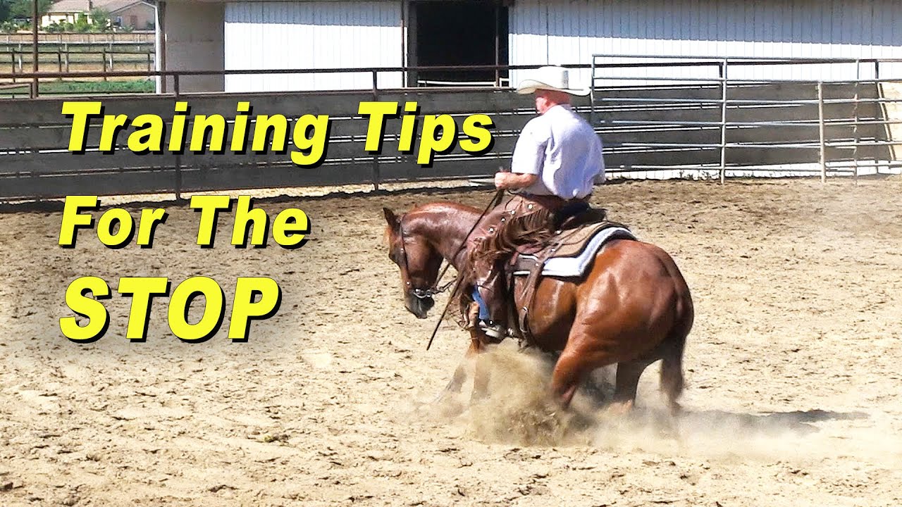 Training Tips For The STOP - Reining Horse Training - Sliding Stop - Cutting Horse Training