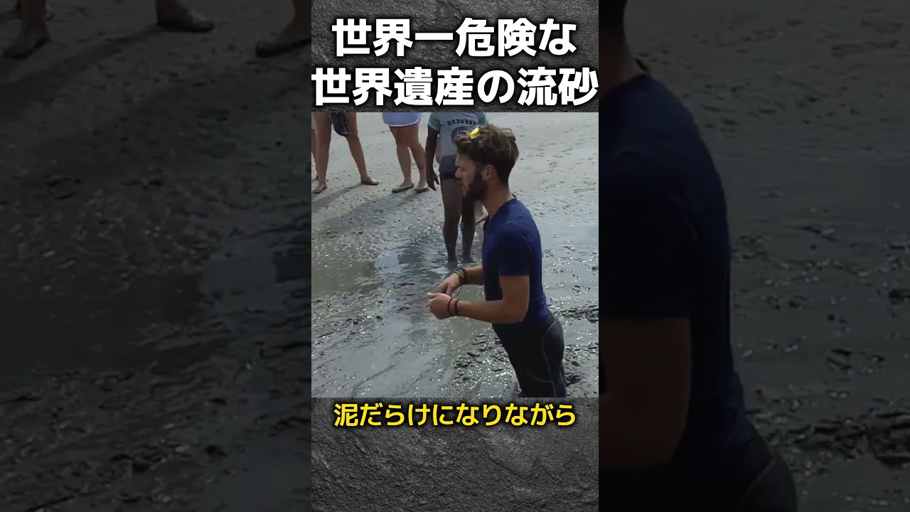 世界遺産モンサンミッシェルの干潟