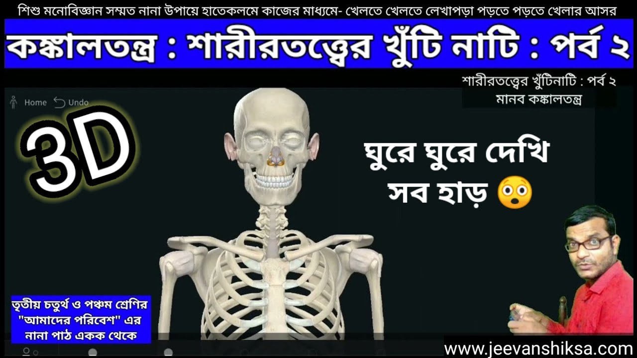 আমাদের কঙ্কাল তন্ত্র : Human Skeletal System 3D : ( Bengali ) জেনে নাও শরীরের সব হাড়ের নাম