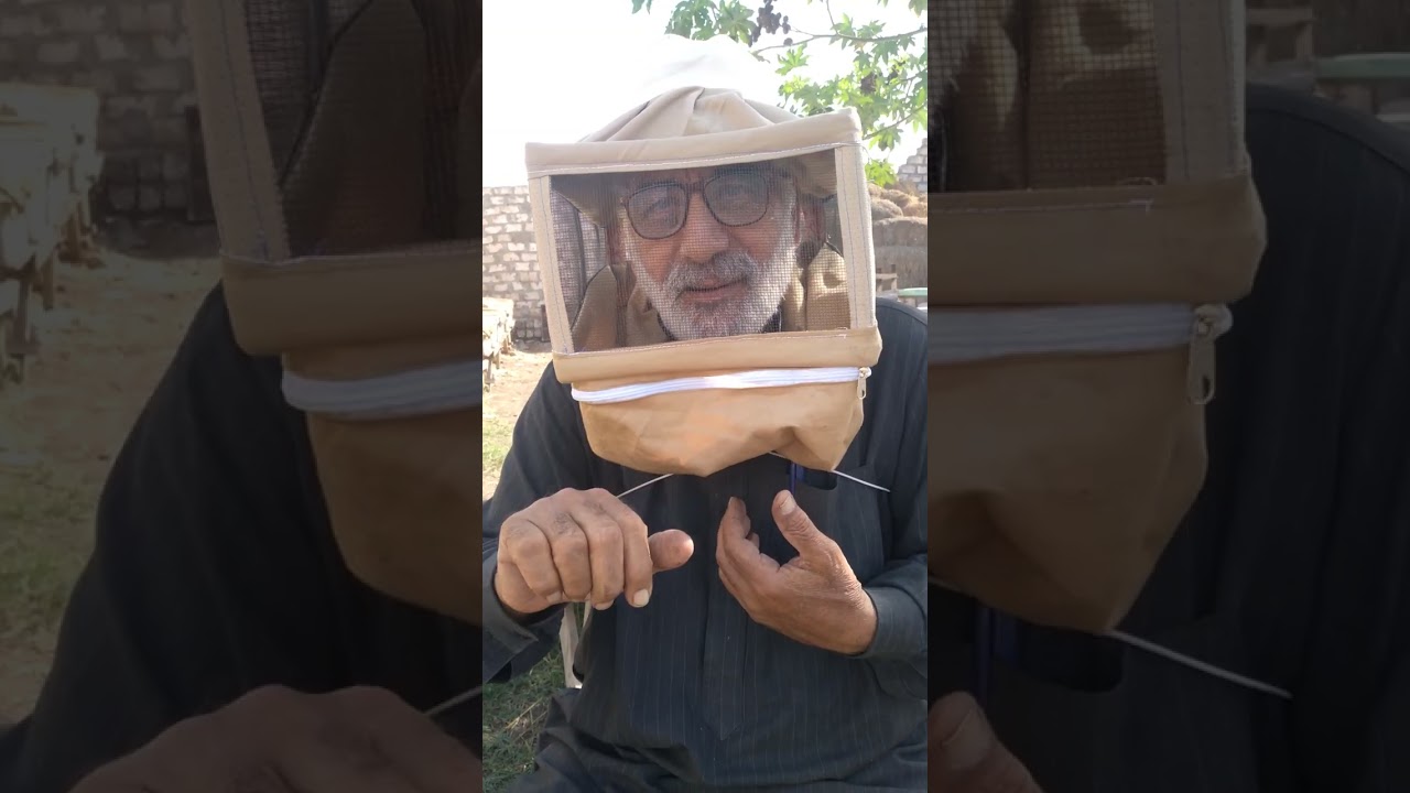 ٢٣ نوفمبر ٢٠٢٤