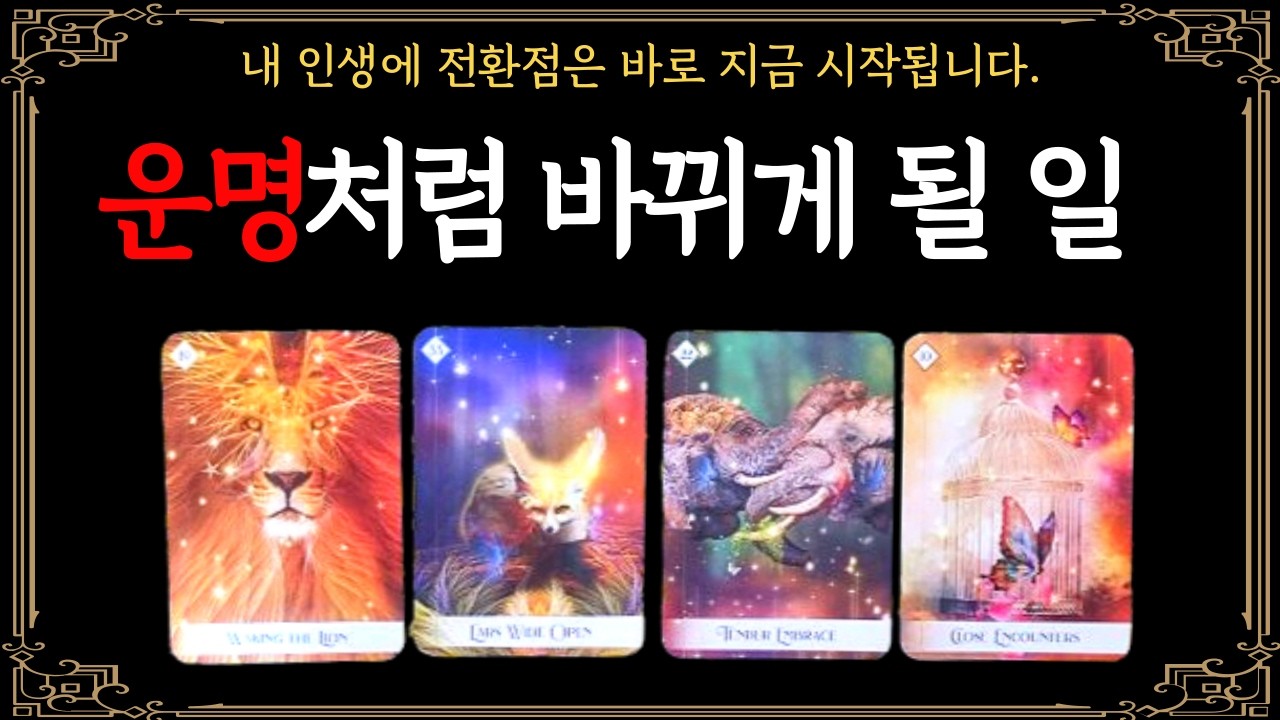 [타로] 🔮운명처럼 바뀌게 될 일🌈✨️