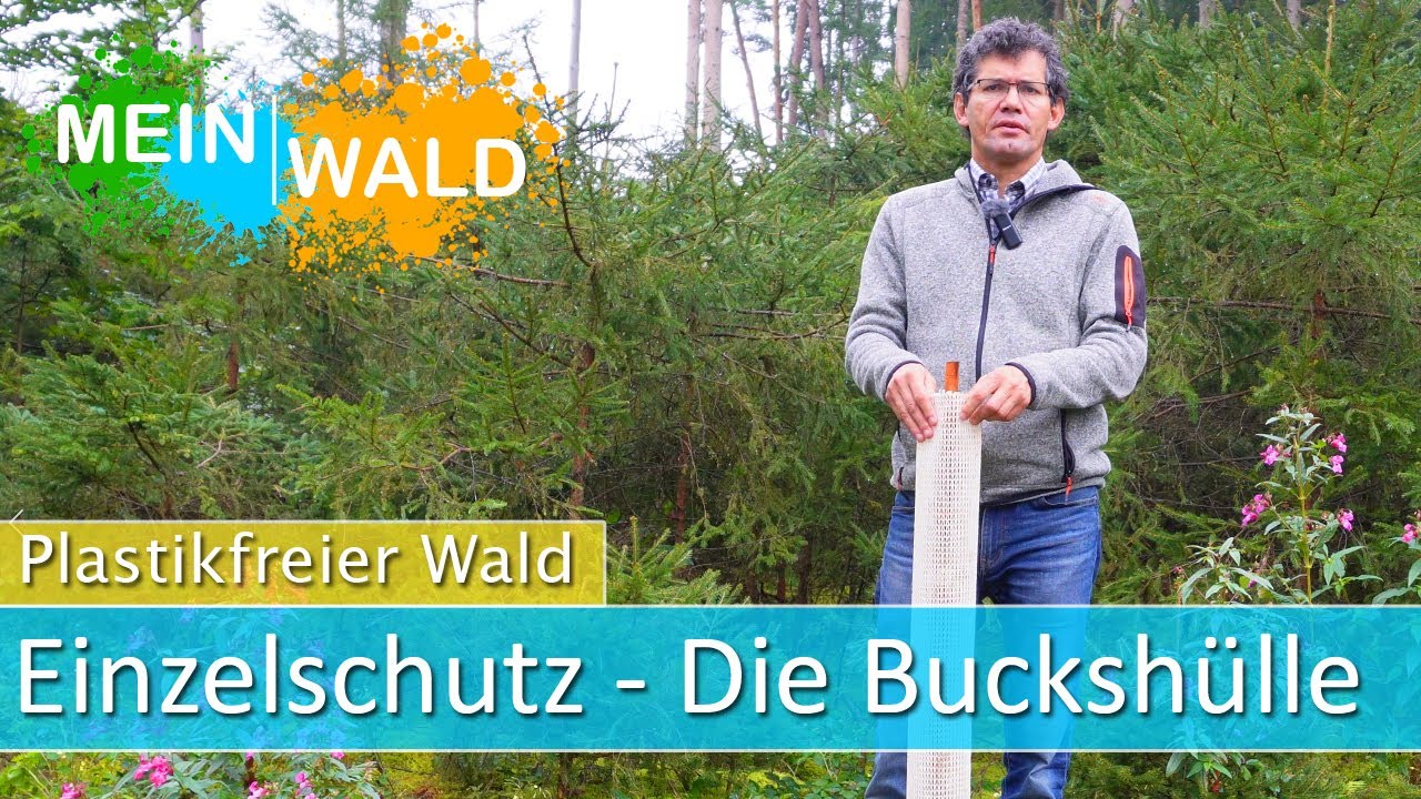 Die Buckshülle - Alle Infos zu diesem plastikfreien Einzelschutz