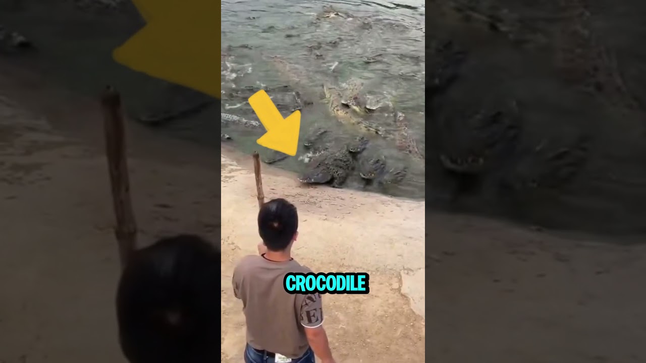 He Escaped a Crocodile Attack ❌🐊