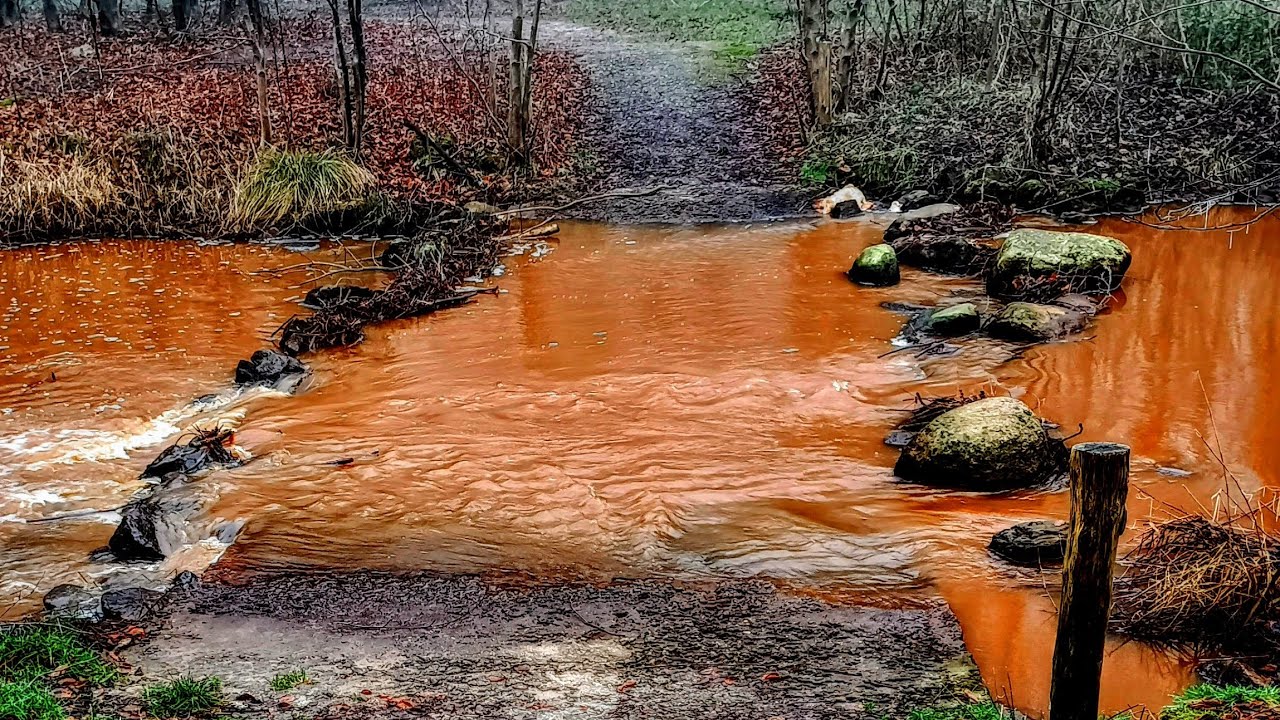 The Red River. Church hidden in the forest. #deutschland 🇩🇪  #niederlande