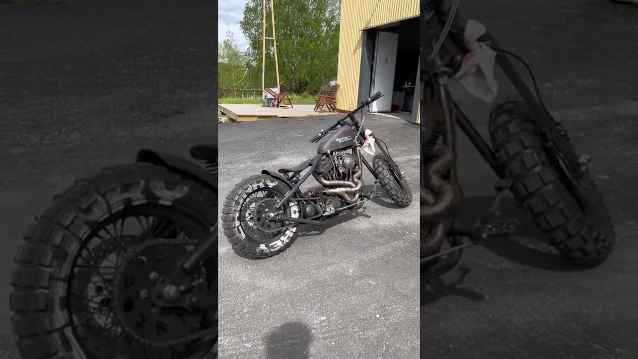 Harley Davidson Sportster Custom #hdfanclub #harley #harleydavidson