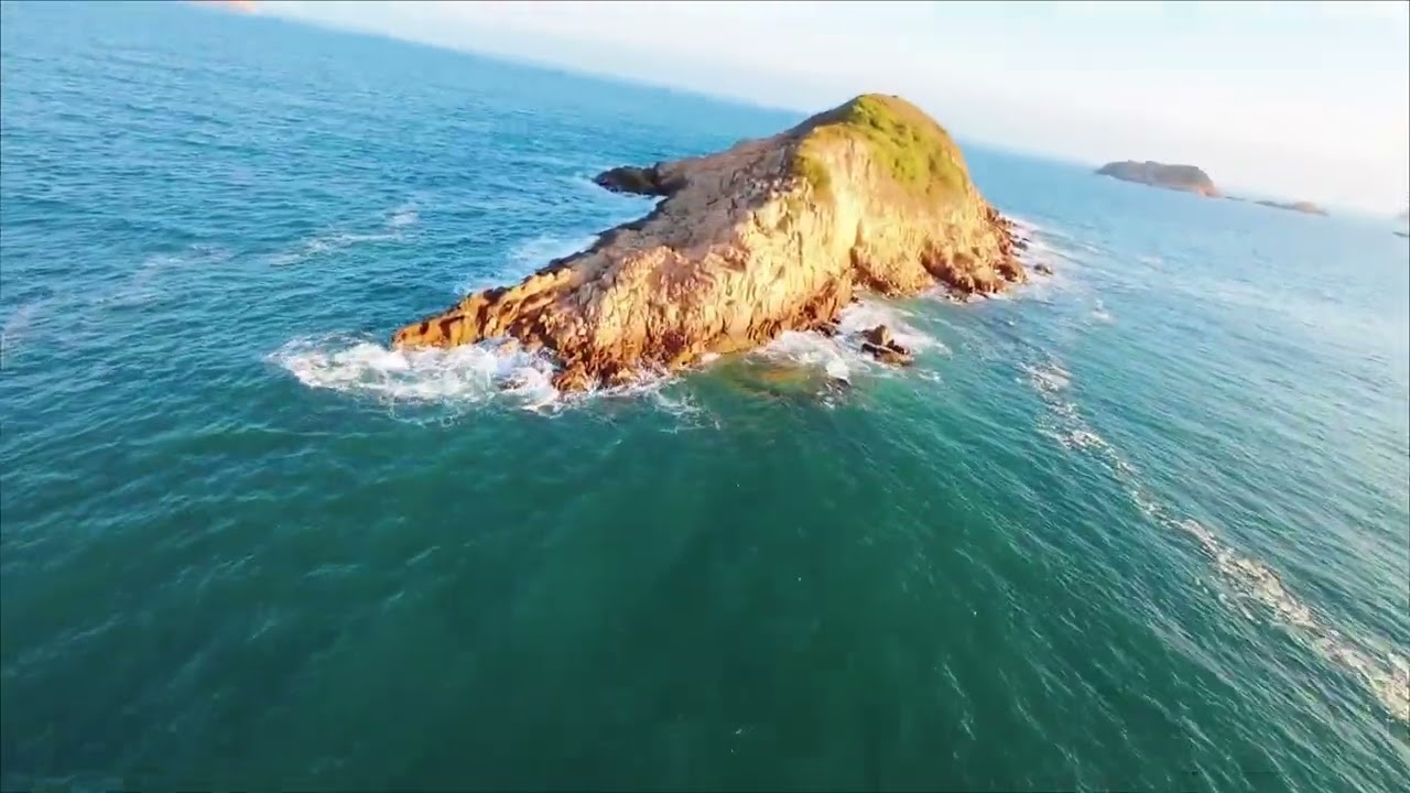 IFLIGHT DC5 ~ 金魚擺尾Goldfish Island