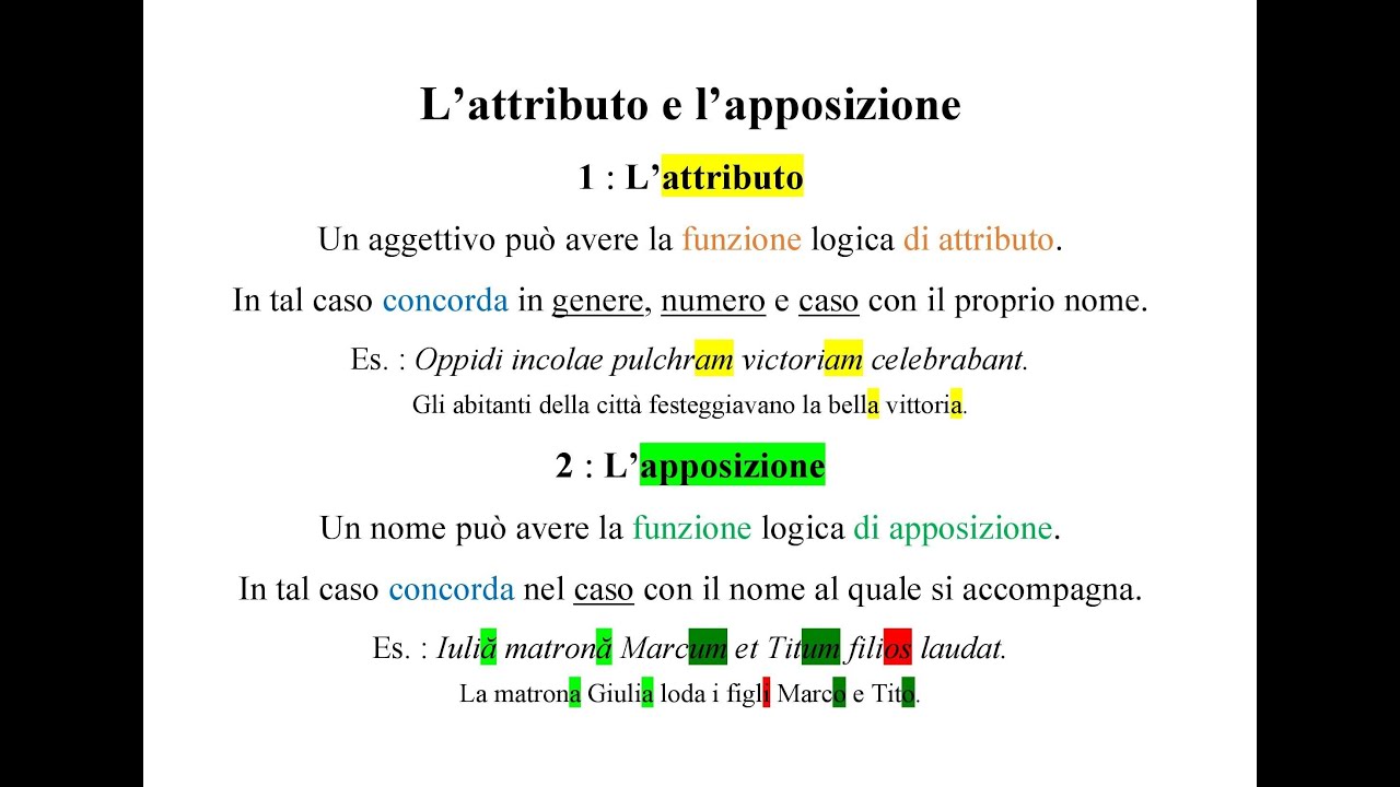 L'attributo e l'apposizione in latino - L'essenziale in 7 minuti!