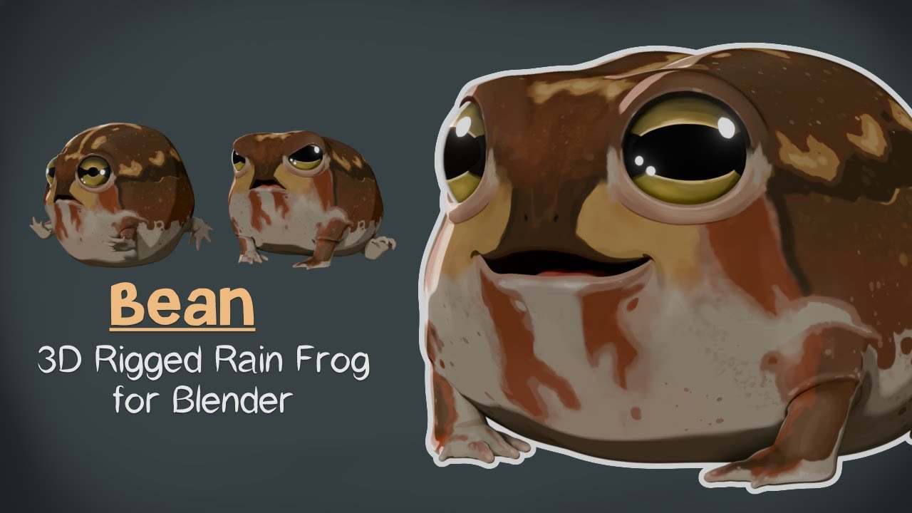 Bean - Rigged 3D Rain Frog for Blender - Demo