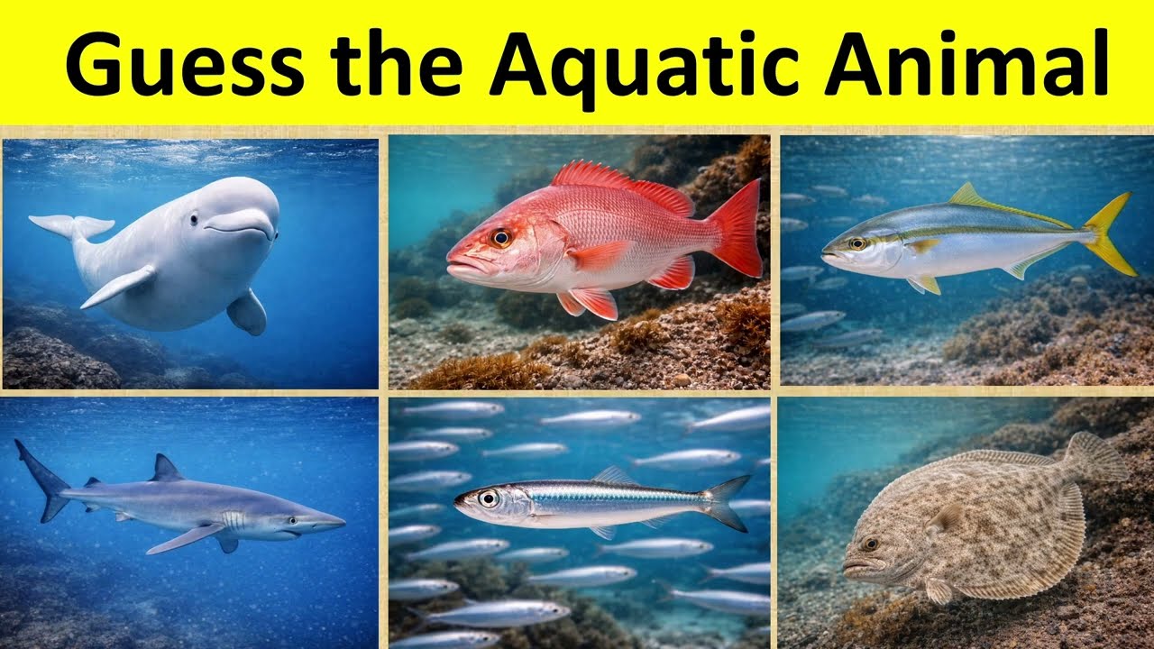 Guess the Aquatic Animal 🐠🌊 | Can You Name Them All?