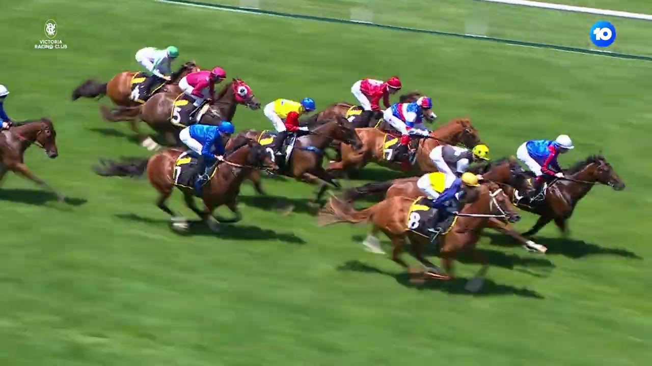 Melbourne Cup Day - Race 4 - The Schweppervescence Plate