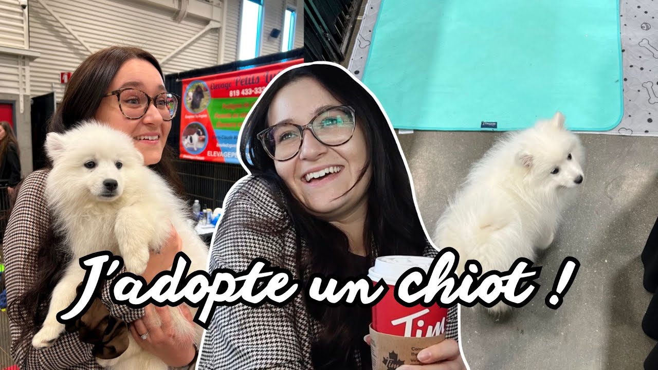 J'ADOPTE MON PREMIER CHIOT !!! | Exposition canine + haul Wild One