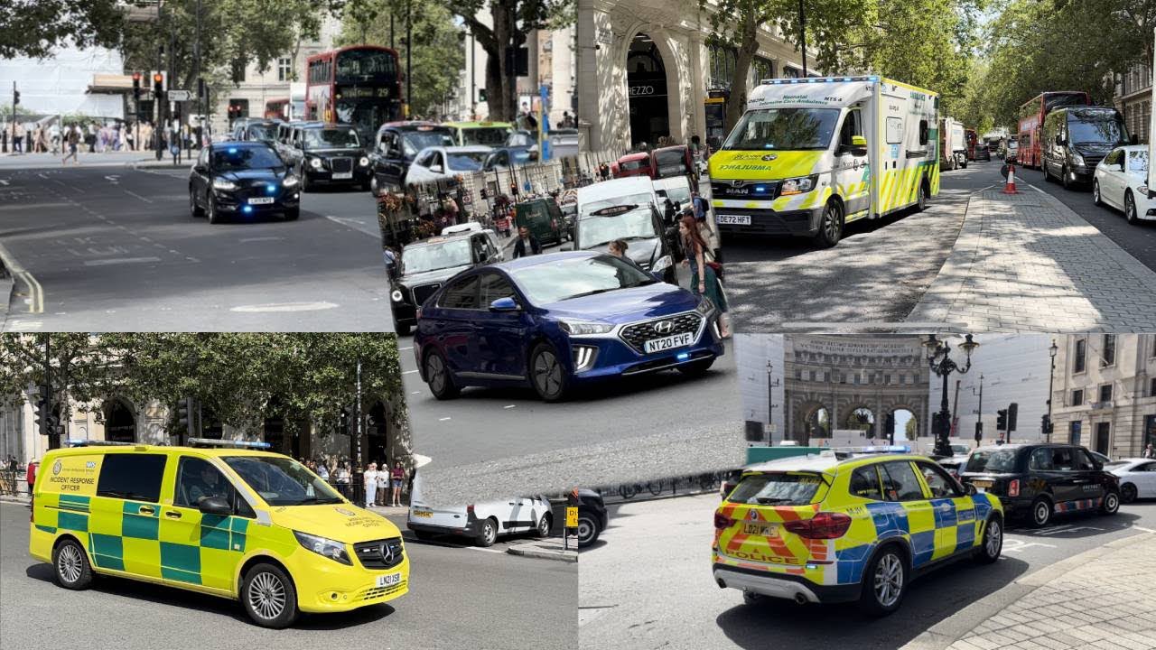 Various emergency vehicles responding through Lights + sirens