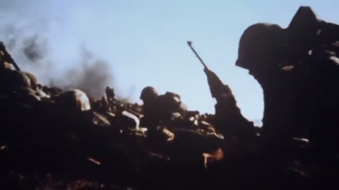 D Day Tribute