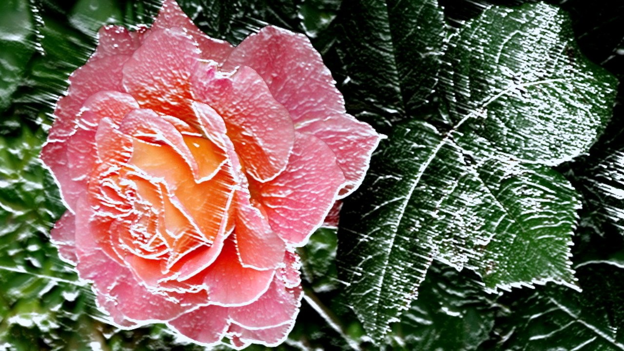 Карен Саркисян   Мираж