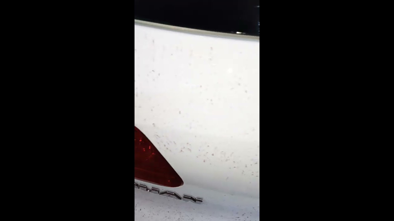 Decontaminare lac inainte de polish